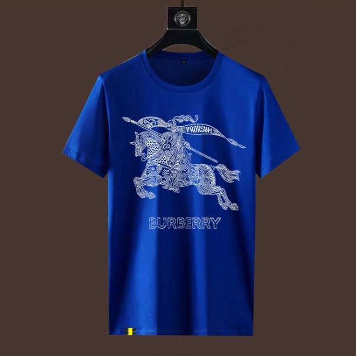 Picture of Burberry T Shirts Short _SKUBurberryM-4XL11Ln5020237